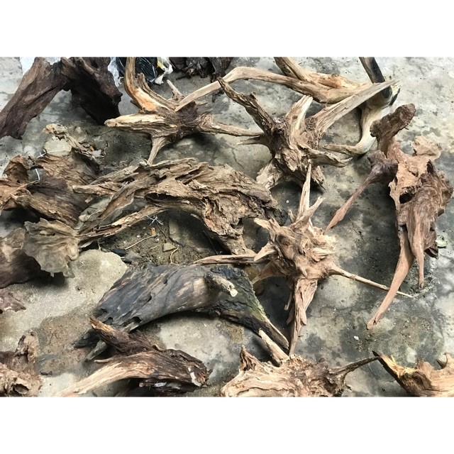 Bể cá mini , Nhiều kích thước lựa chọn, đầy đủ phụ kiện trang trí.