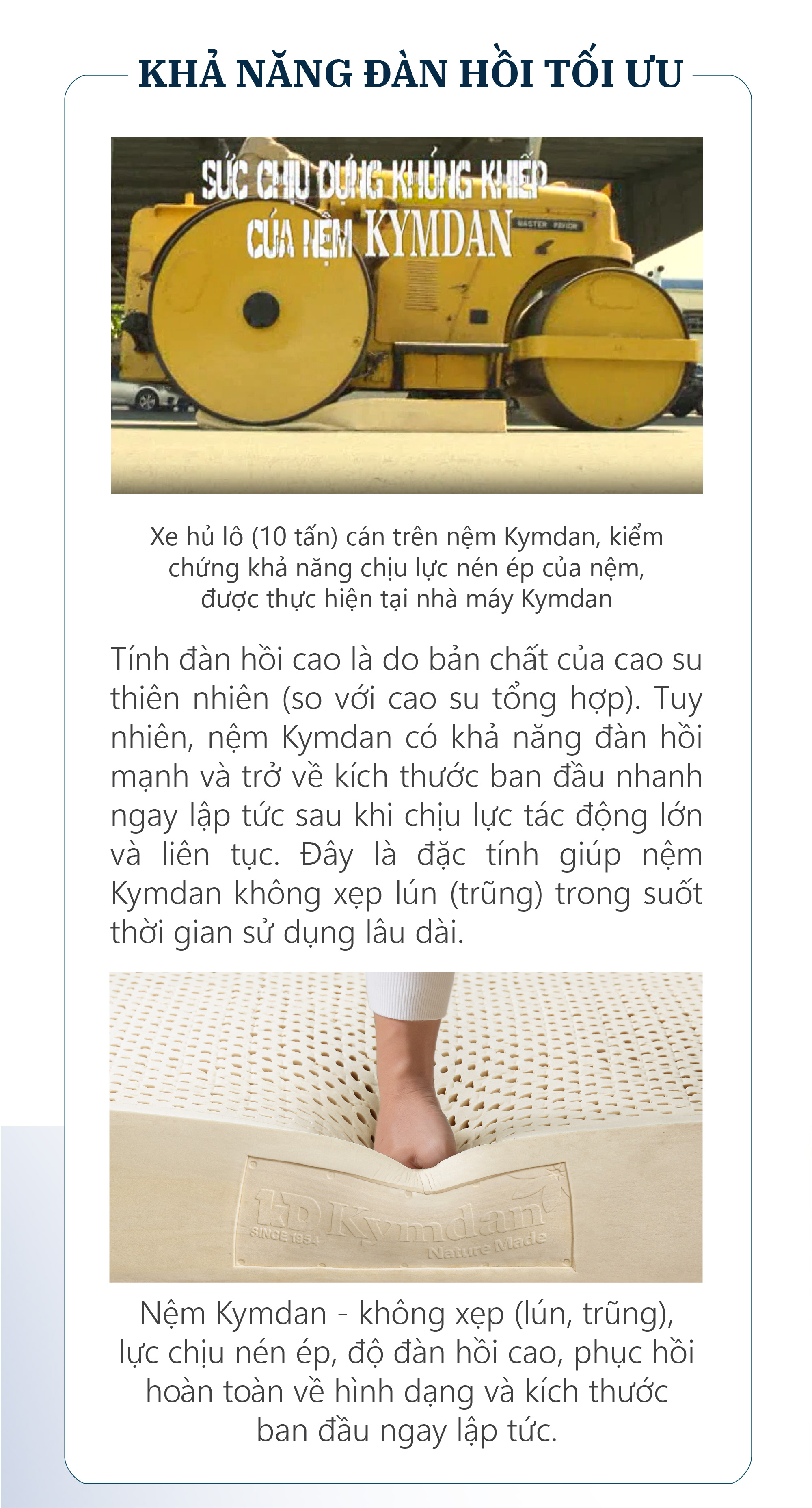 Nệm cao su thiên nhiên Kymdan Deluxe 140 x 200 x 10cm SFM