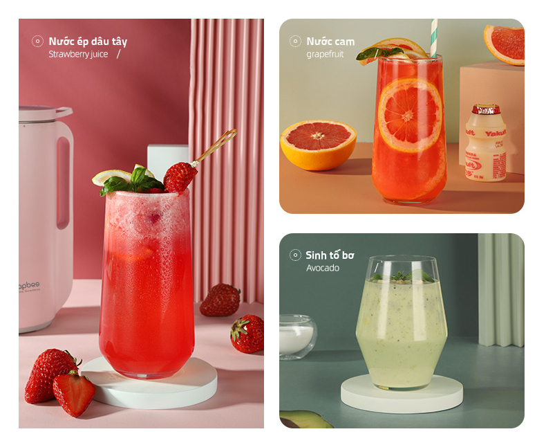 lam sinh to nuoc ep trai cay