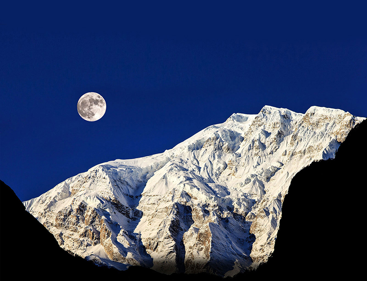 Smart Tivi LG 65 inch 4K 65NANO81TNA - Hàng Chính Hãng