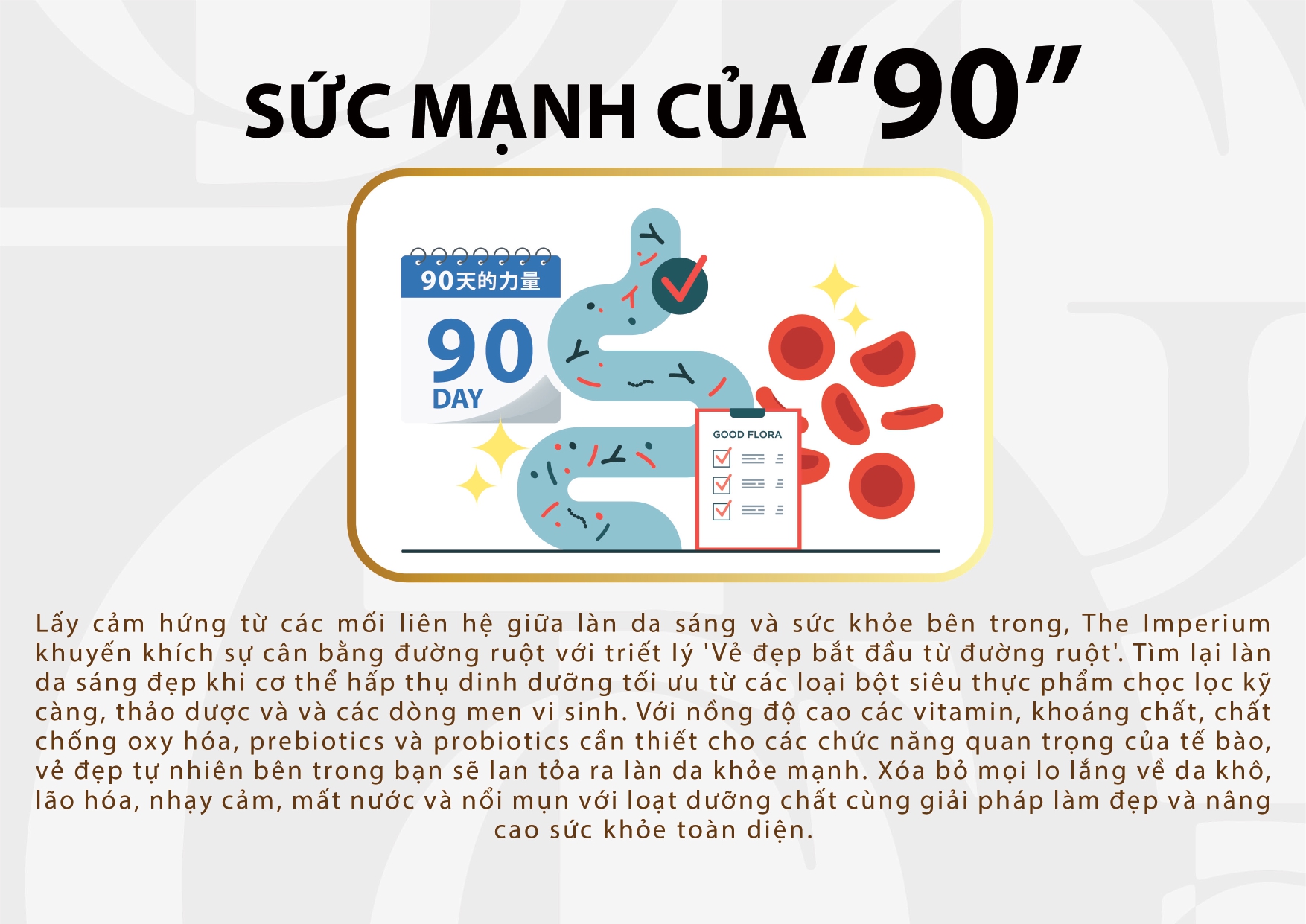 Viên uống bổ sung lợi khuẩn IMPERIUM ULTIMATE RESTORE khởi đầu cuộc sống lành mạnh với sức khỏe tiêu hóa tốt hơn, tăng cường miễn dịch, quà tặng ý nghĩa cho cấp trên, bạn bè, đồng nghiệp, người thân (15 viên/lọ)