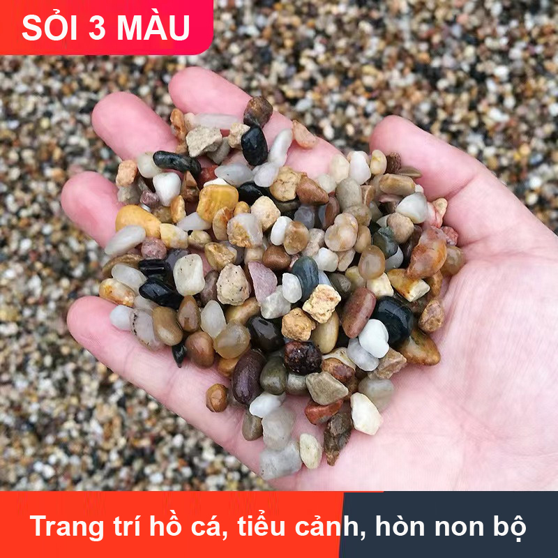 Sỏi Suối 3 Màu (1.2KG, size to ) - Trang Trí Bể Cá, Thủy Sinh, Tiểu Cảnh, Lọc Nước Hiệu Quả