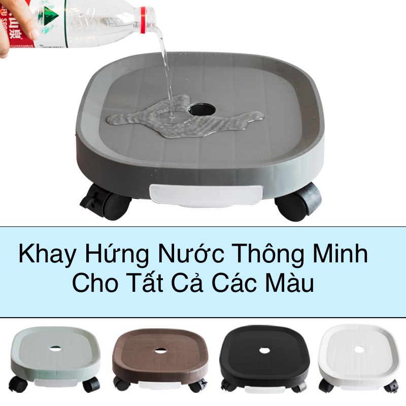 Đế Kê Chậu Cây- Kệ Lót Chậu Cây Có Bánh Xe Dễ Dàng Di Chuyển Và Khay Hứng Nước 1.5L Tiện Lợi - Chịu Lực 80kg