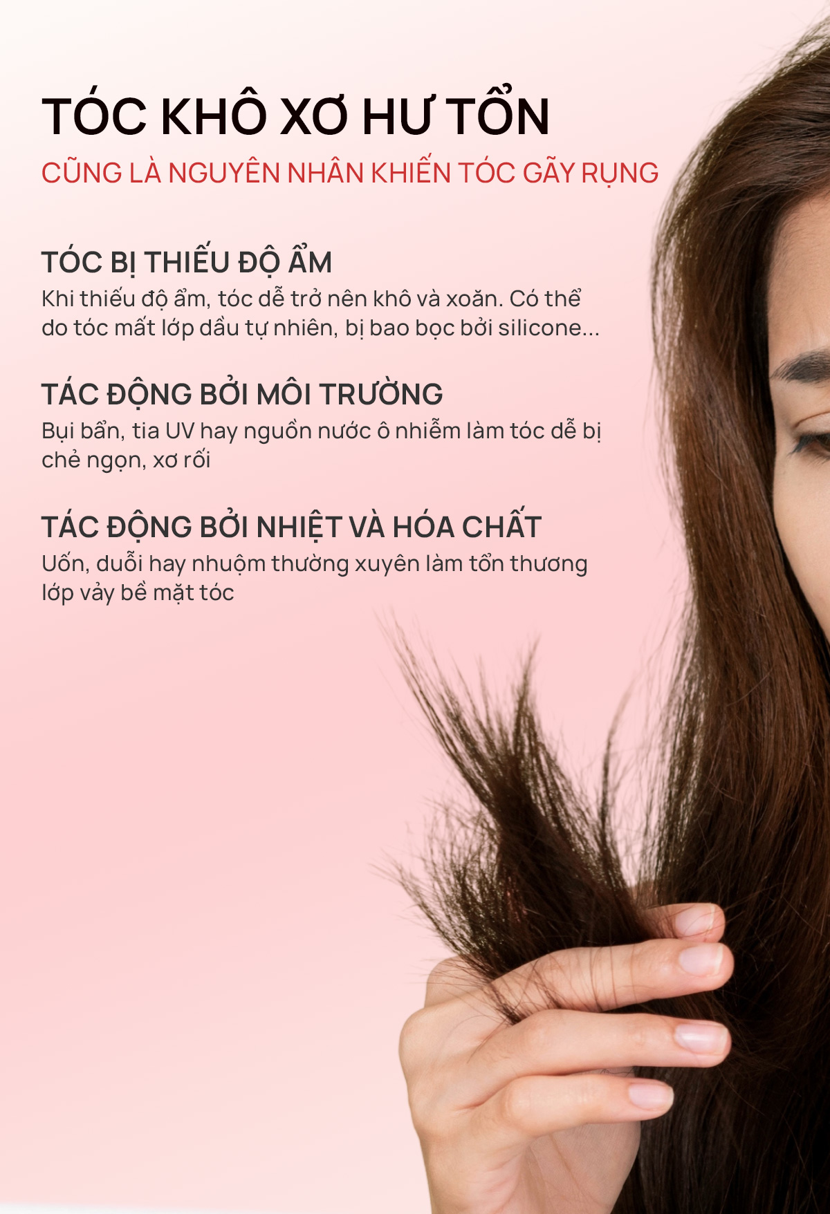 Dầu gội thảo dược Fresh Shampoo giảm rụng tóc, giảm gàu, nuôi dưỡng tóc mềm mượt và chắc khỏe từ gốc 500ml