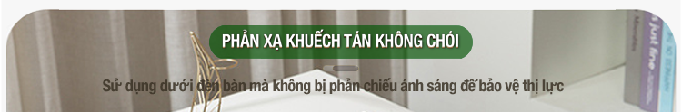 Bàn Di Chuột - Miếng Lót Chuột Chính Hãng ASWEI MXL800 EXTENDED