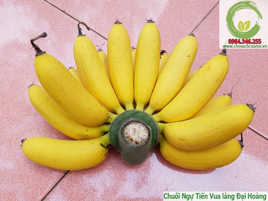 Chuối ngự tiến vua 3 nải