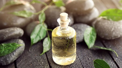 tinh dầu tràm trà - tea tree