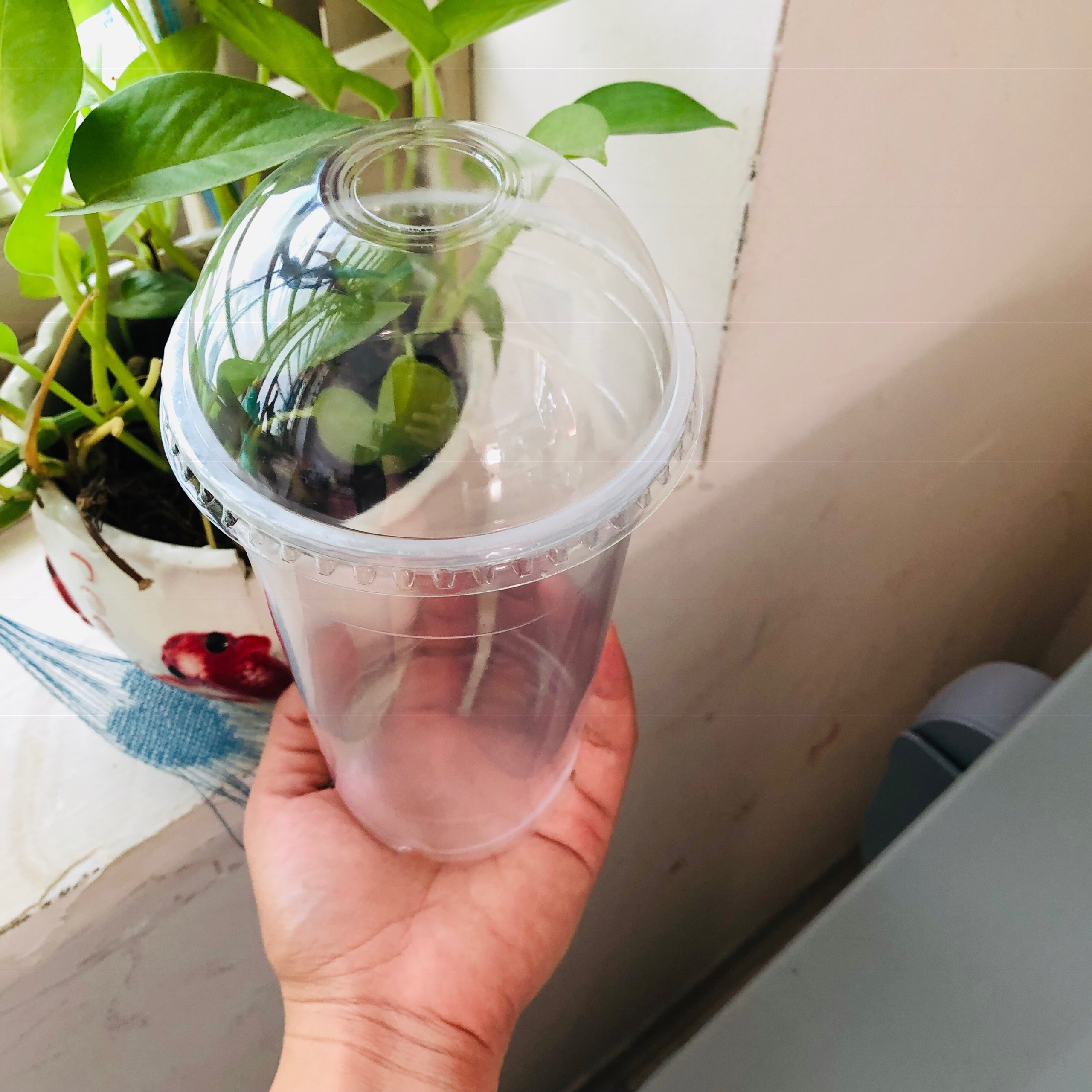 50 Ly Nhựa HỮU PHONG Cao Cấp 700ml Kèm Nắp Cầu Dùng 1 Lần, An Toàn, Đựng Nước ép, Trà sữa (Tặng Móc khóa KETILO)