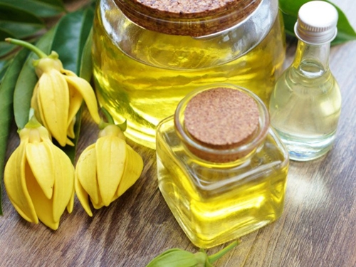 tinh dầu ngọc lan tây - ylang ylang