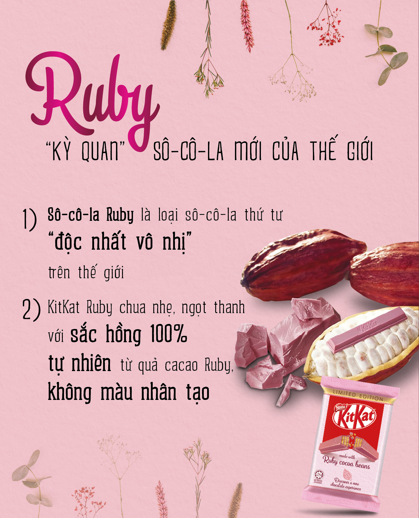 8 THANH KITKAT RUBY 4F