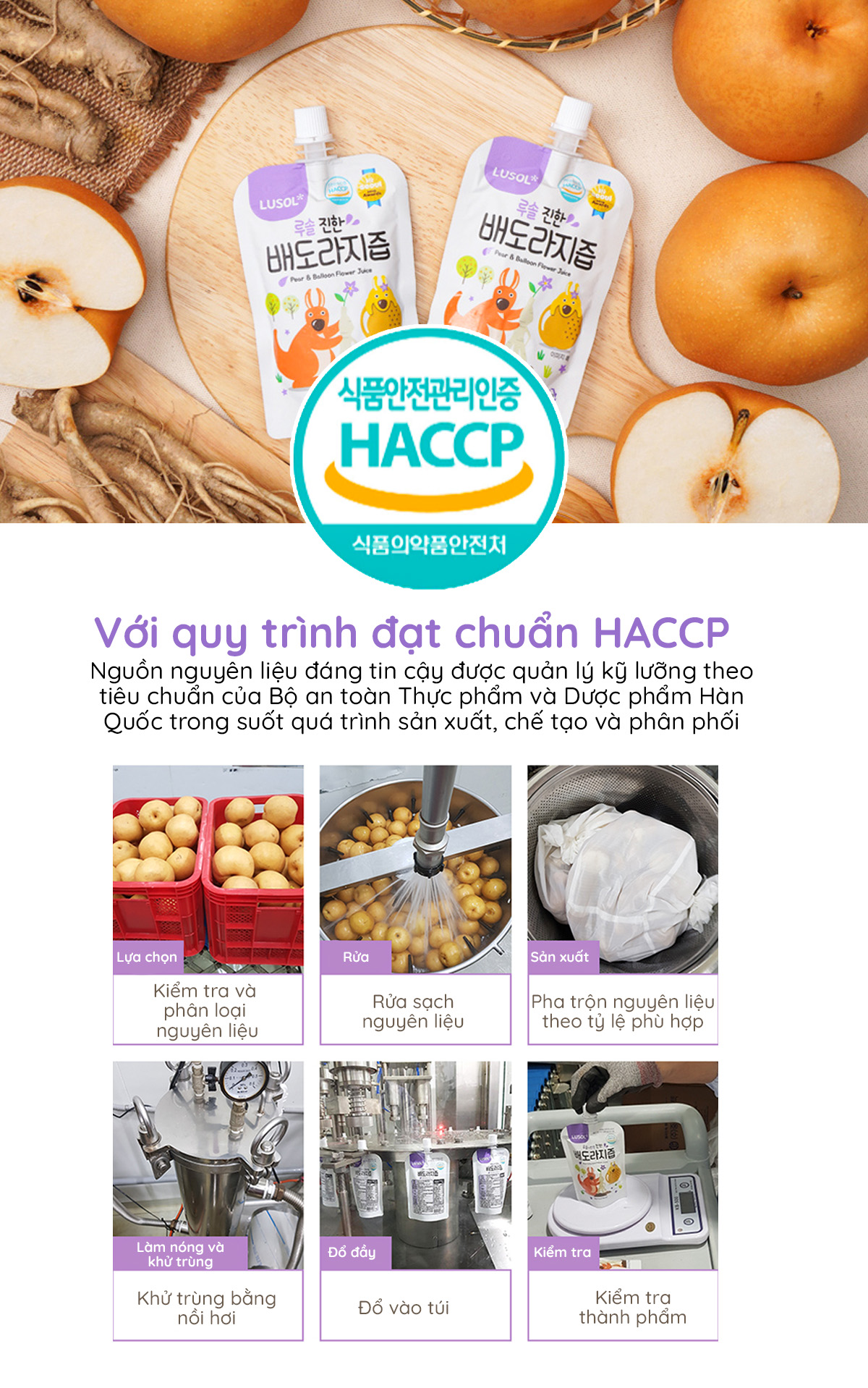 Combo 20 gói nước ép lê và rễ hoa chuông đen nguyên chất Lusol cho bé từ 6 tháng tuổi - ALADDINVINA