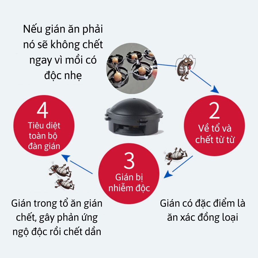 [Hàng chính hãng] Hộp thuốc diệt gián 12 viên Nhật Bản mẫu mới nhất năm 2023