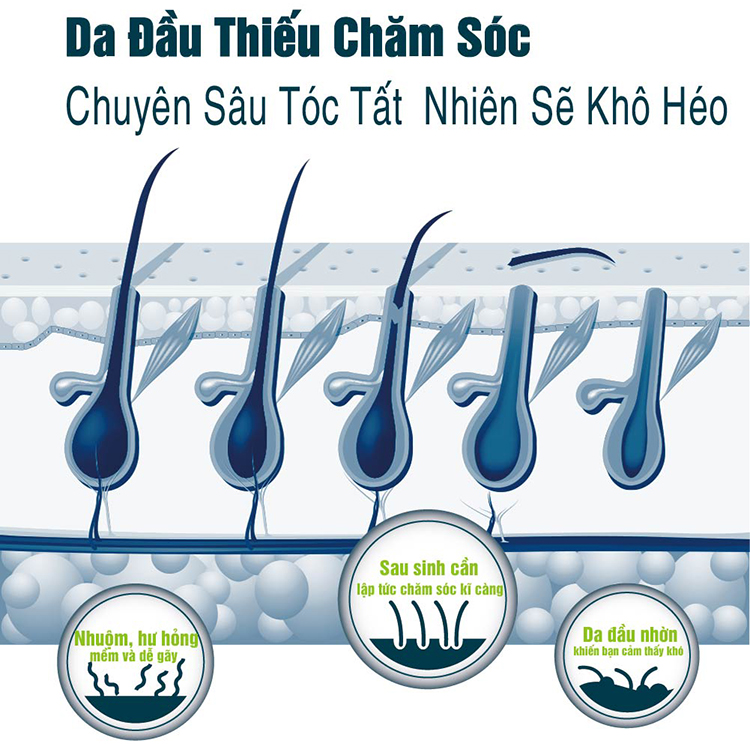Dầu Gội Thảo Dược ESSEHAIR