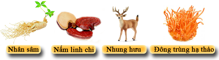 Viên Hồng Sâm Đông Trùng Hạ Thảo Hộp 120 Viên