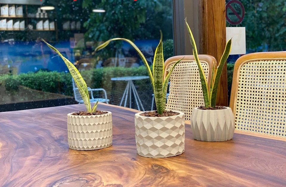 Set 4 chậu cây xi măng SeeArt đường kính 11x8.5cm , chậu trồng cây cảnh, bonsai, sen đá, lithops decor nhà ở, bàn làm việc, quán ăn, văn phòng, cà phê