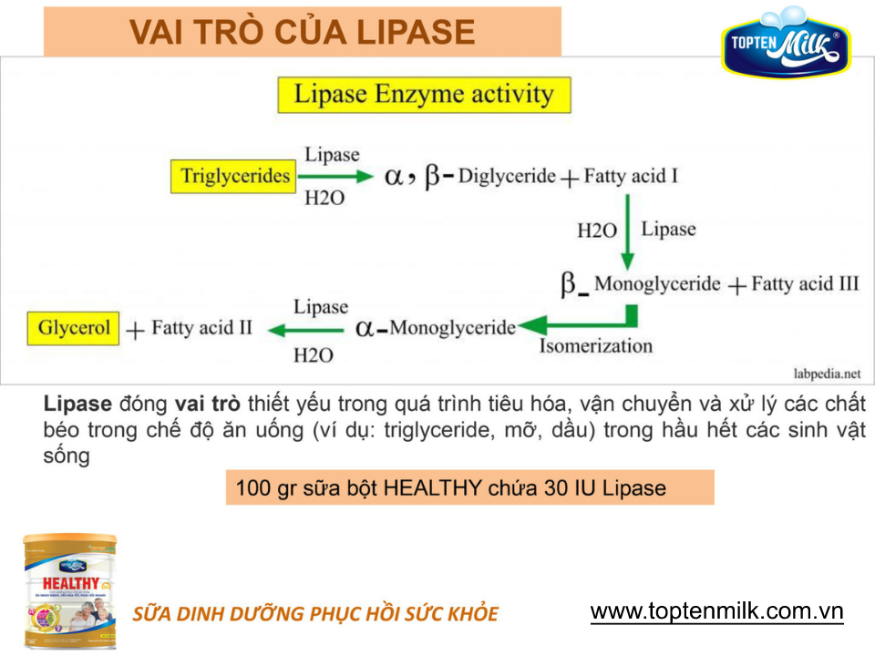 Sữa bột tăng cân,hổ trợ tiêu hóa healthy 400g TOPTEN Milk