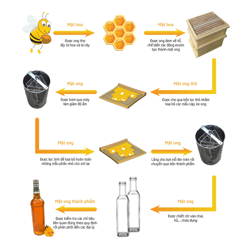 quy trình thu mật ong hoa cafe Vanbina