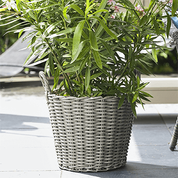 Poly rattan basket