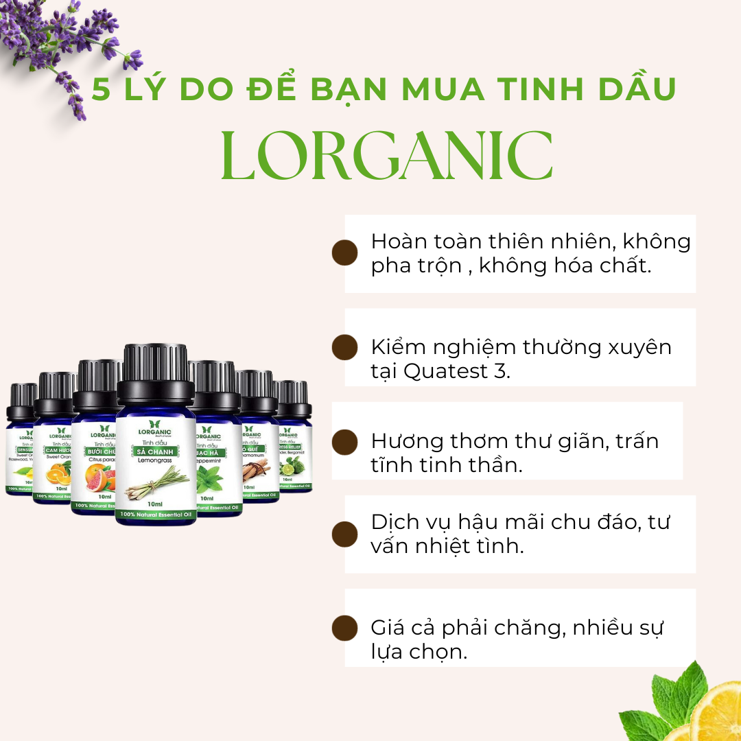 LÝ DO ĐỂ BẠN LỰA CHỌN TINH DẦU LORGANIC