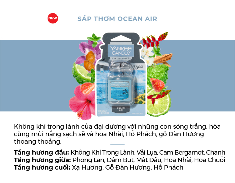 Sáp thơm xe Yankee Candle - Ocean Air