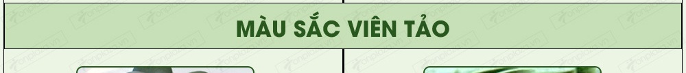 Combo 2 Hộp Tảo Xoắn Spirulina Nội Địa Nhật Bản 2200 Viên
