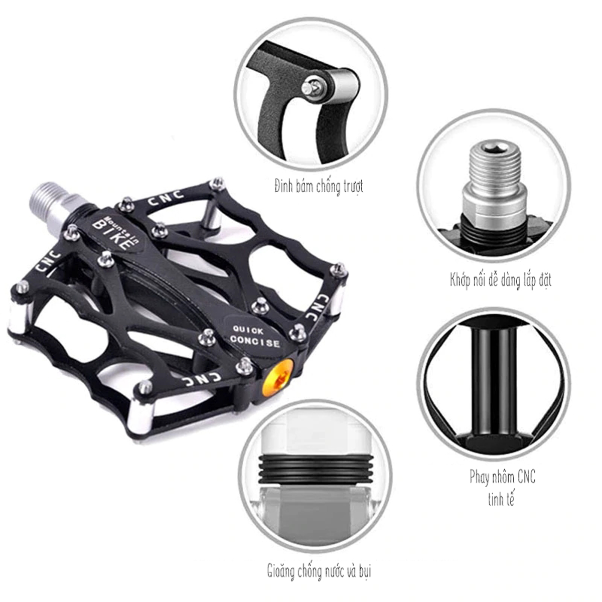 pedan-ban-dap-xe-dap