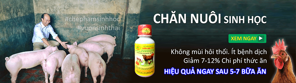 Chế phẩm sinh học VƯỜN SINH THÁI chăn nuôi Vỗ Béo không Mùi Hôi - Vật nuôi chắc thịt lớn nhanh ít bệnh dịch - Thức ăn bổ sung cho chó mèo lợn gà