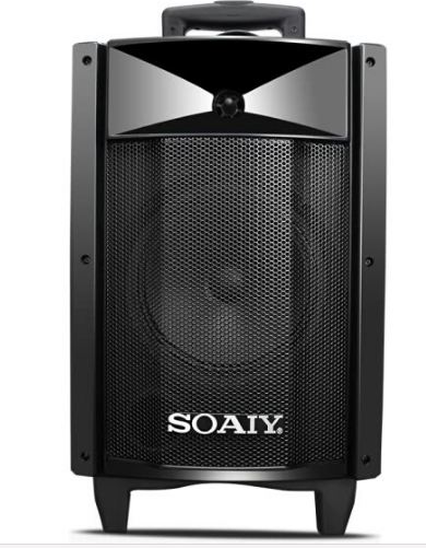 Loa Kèm Micro Không Dây Soaiy SA-T18