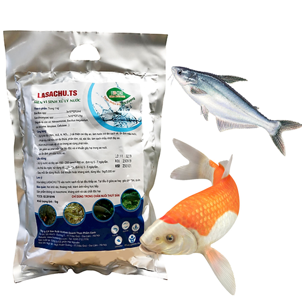Combo 2 gói Men vi sinh xử lý nước ao hồ Cá Tôm - LASACHU. Làm trong nước, sạch nhớt đáy. Khử mùi hôi, tiêu khí độc (NH3, N, NO2, H2S). Ức chế vi khuẩn gây hại. HSD: 2 năm