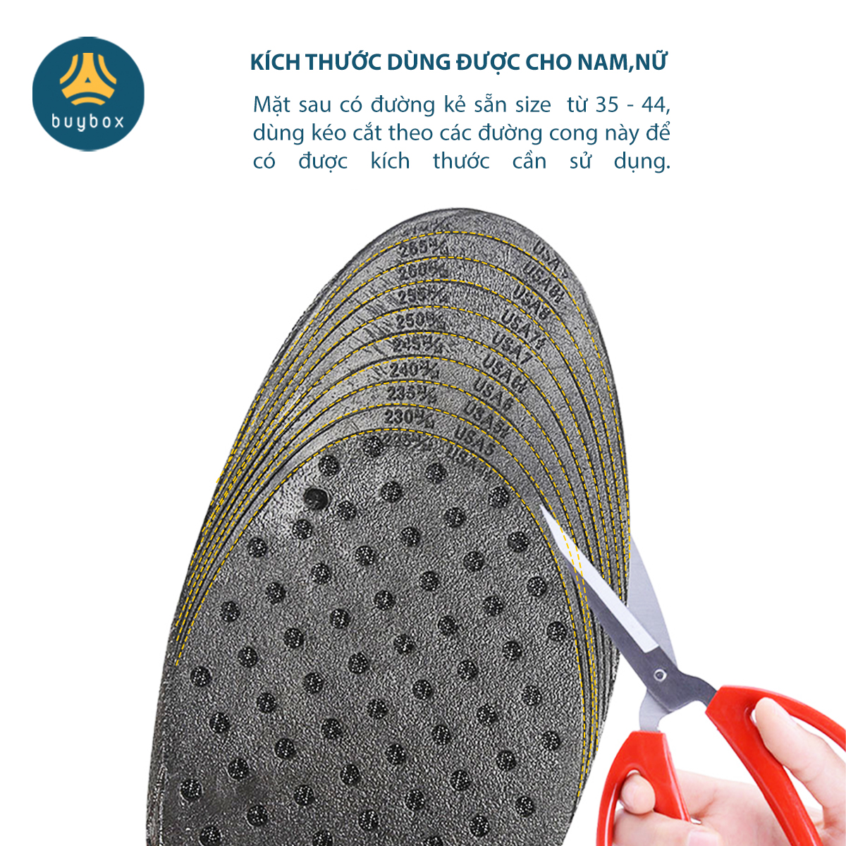 Lót giày độn đế tăng chiều cao 3cm, 4.5cm, 6cm  đế cao su dẻo cấu trúc tổ ong thoáng khí - Buybox - BBPK353
