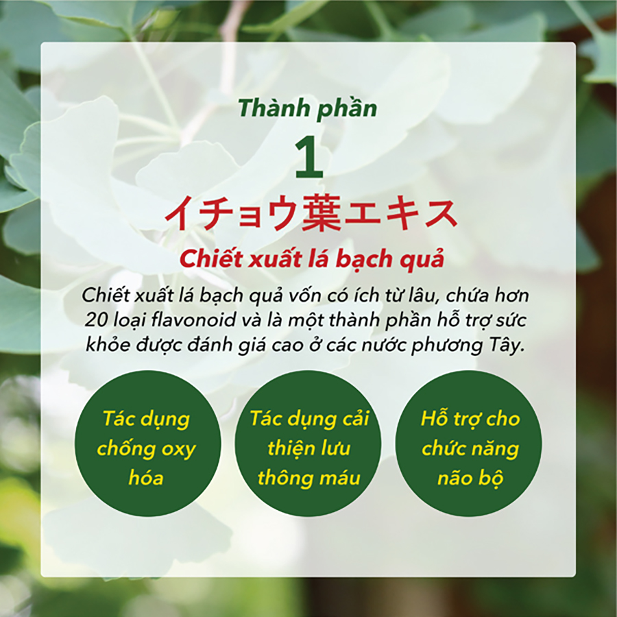 Combo 2 Hộp Viên Uống Bổ Não, Ngừa Đột Quỵ Tai Biến, Giúp Ngủ Ngon Nattokinase 3000FU Natto Ichou Genki Fami Nhật Bản