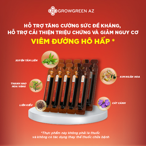 COMBO 2 HỘP Siro Ho Bổ Phế Thảo Dược ZHEALTH Giảm Ho, Viêm Họng, Tăng Cường Hệ Miễn Dịch(Hộp 2 vỉ x 5 ống)