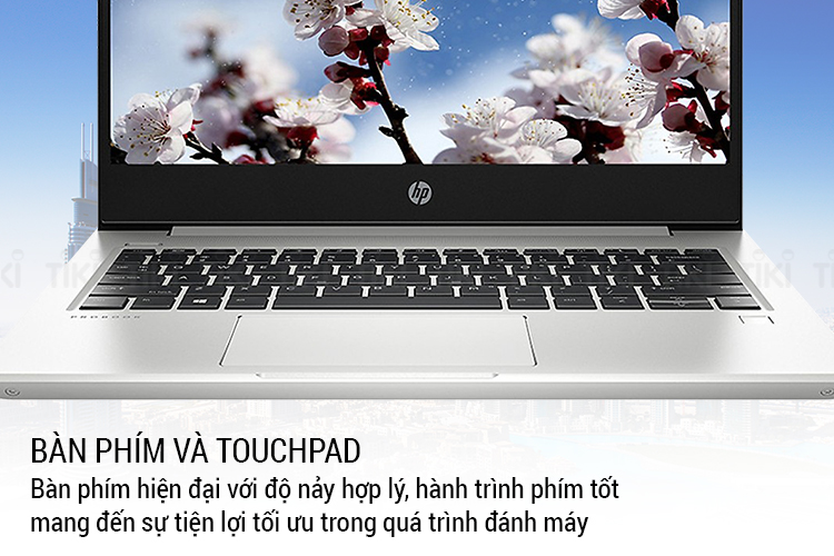 Laptop HP ProBook 430 G6 5YM98PA Core i5-8265U/ Win10 (13.3 HD) - Hàng Chính Hãng