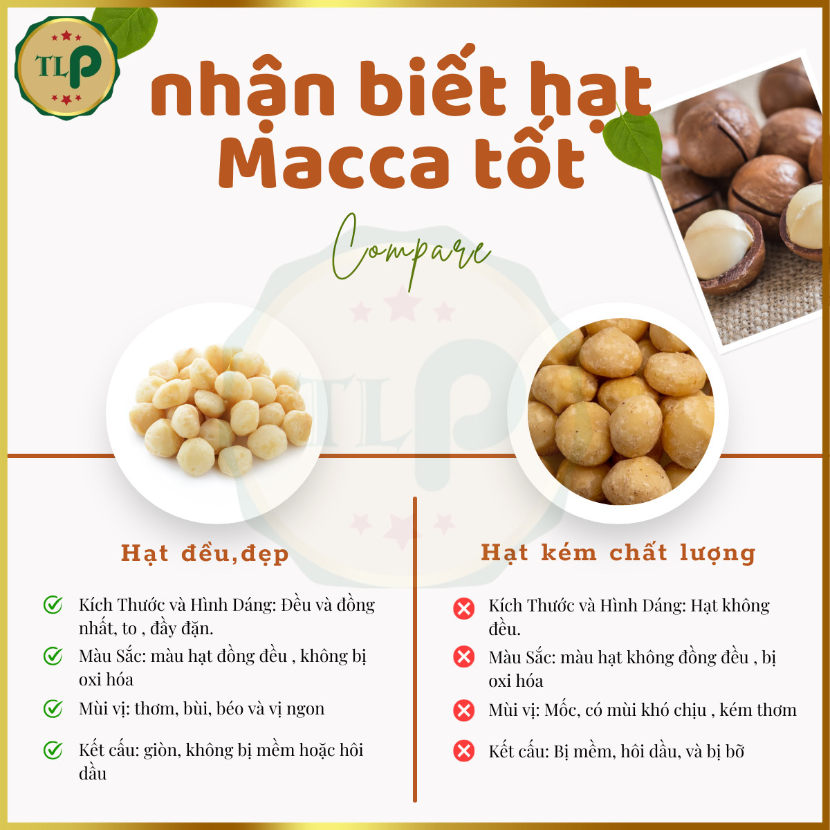 1KG - COMBO 2 HŨ HẠT MACCA CAO CẤP TÂN LỘC PHÁT