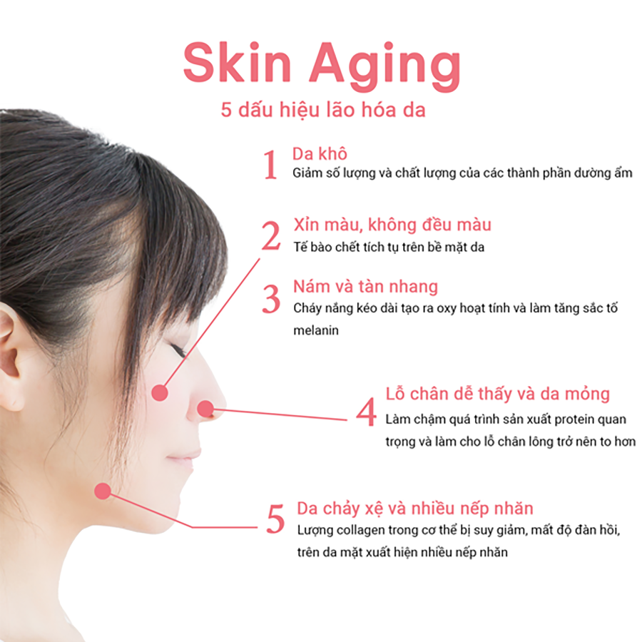 Viên Uống Trắng Da, Ngăn Ngừa Sạm Nám Từ Thiên Nhiên Shiro Hada Genki Fami Nhật Bản