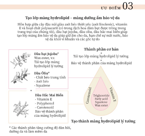 Make Up Cream On The Go (30 gói Shachet) - Kem nền hữu cơ đa năng naturaglacé Make Up Cream (02 - Màu be tự nhiên)