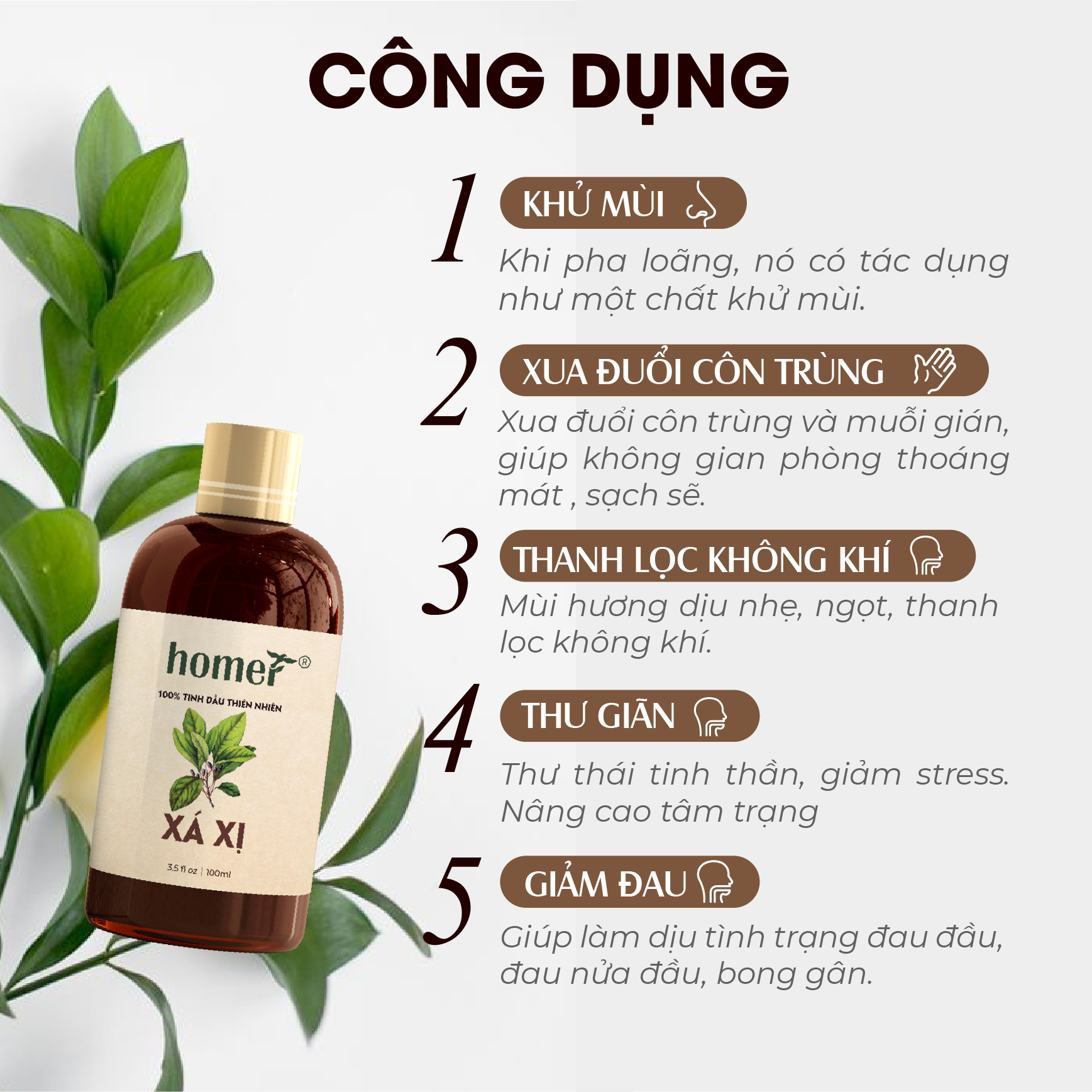 Tinh Dầu Xá Xị Homer 100ml - Chính Hãng, Đạt Chuẩn Kiểm Định Cao Cấp - Tinh Dầu Xông Thơm Phòng, Thư Giãn, Khử Mùi hiệu quả