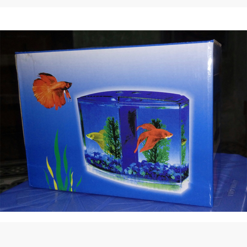Bể Cá Mini LYLYSHOP 20x15x9cm, 2 ngăn, để bàn tiện dụng + Tặng 200gr san hô