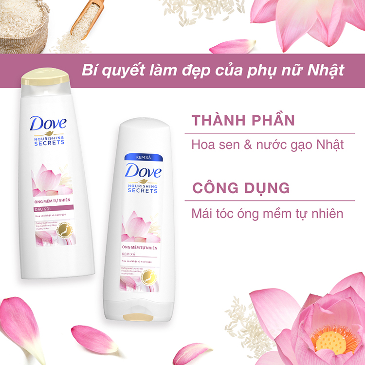 Image result for dove hoa sen nước gạo