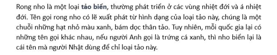 Rong nho tươi tách nước Okinawa 100g (5 gói x 20g) + tặng kèm 2 gói bánh trứng Gia Khánh 2