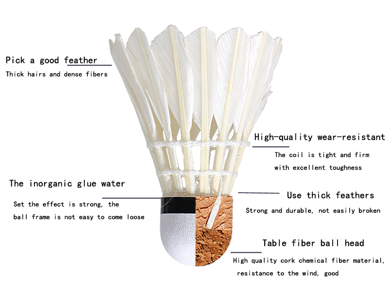 Hộp 12 quả cầu lông cao cấp badminton 12 pieces LEIJIAER YE-1001