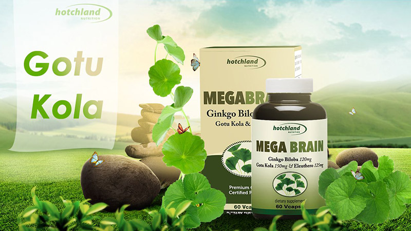 MegaBrain Thực phẩm chức năng bổ não