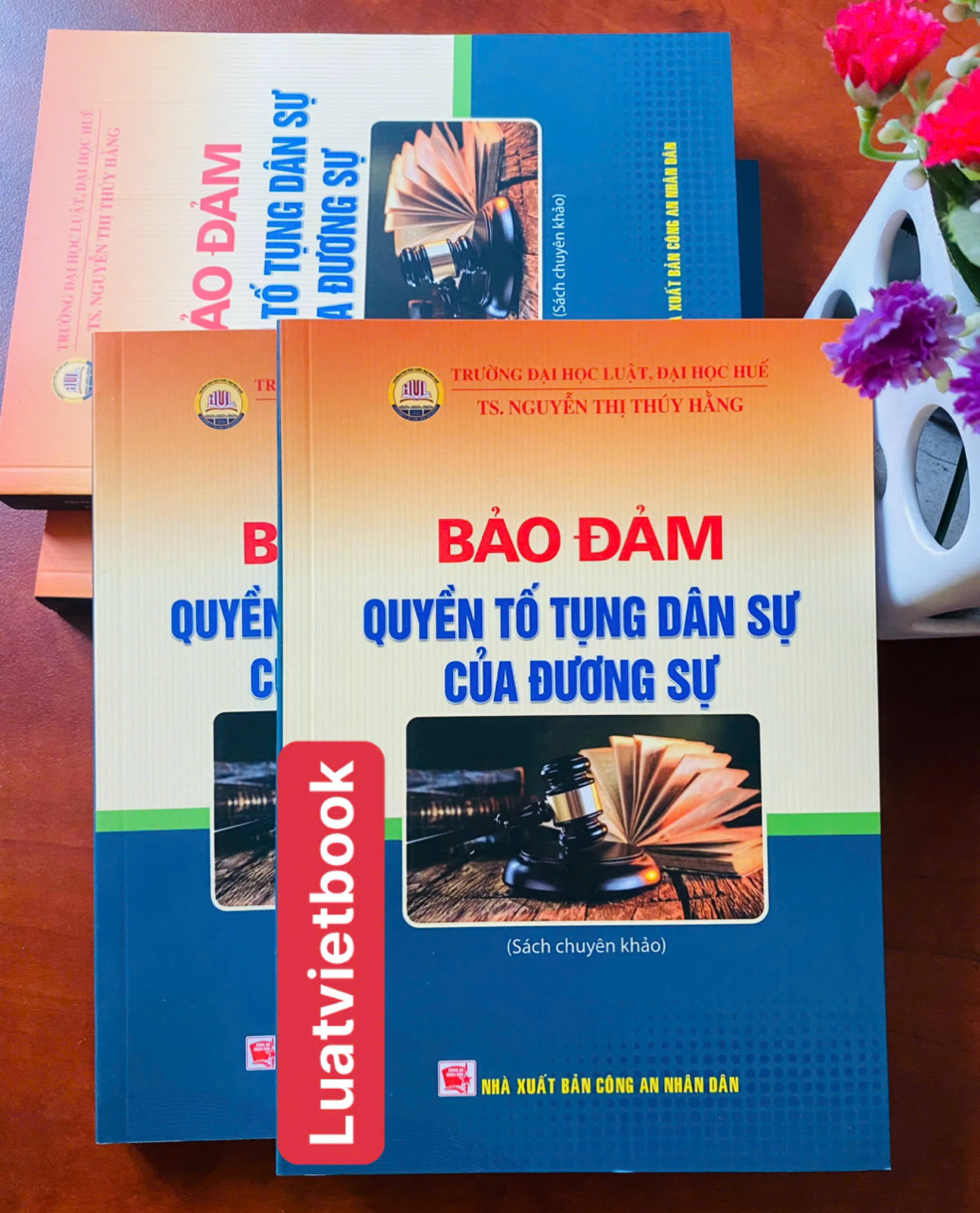 Bảo Đảm Quyền Tố Tụng Dân Sự Của Đương Sự