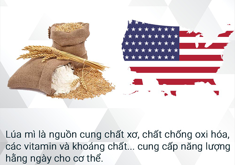 Bánh Wafer Rong biển Lai Phú Mr Côôp (88g)