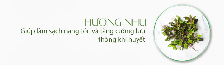 2 Hộp Túi Lọc Gội Đầu Bồ Kết Việt (Dòng Cao Cấp) 2