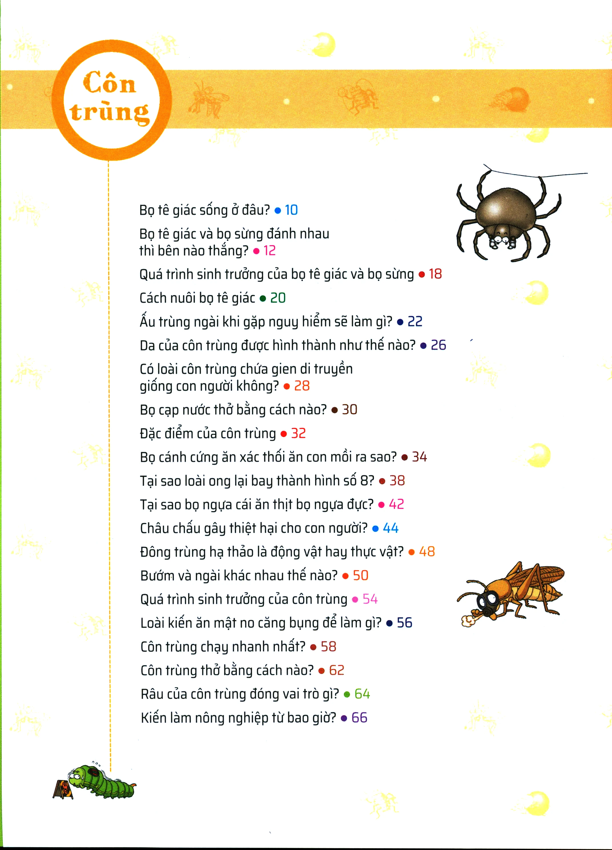 Sách Quiz! Khoa Học Kì Thú: Côn Trùng