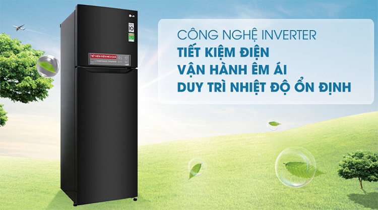 Tủ Lạnh Inverter LG GN-M255BL (255L)