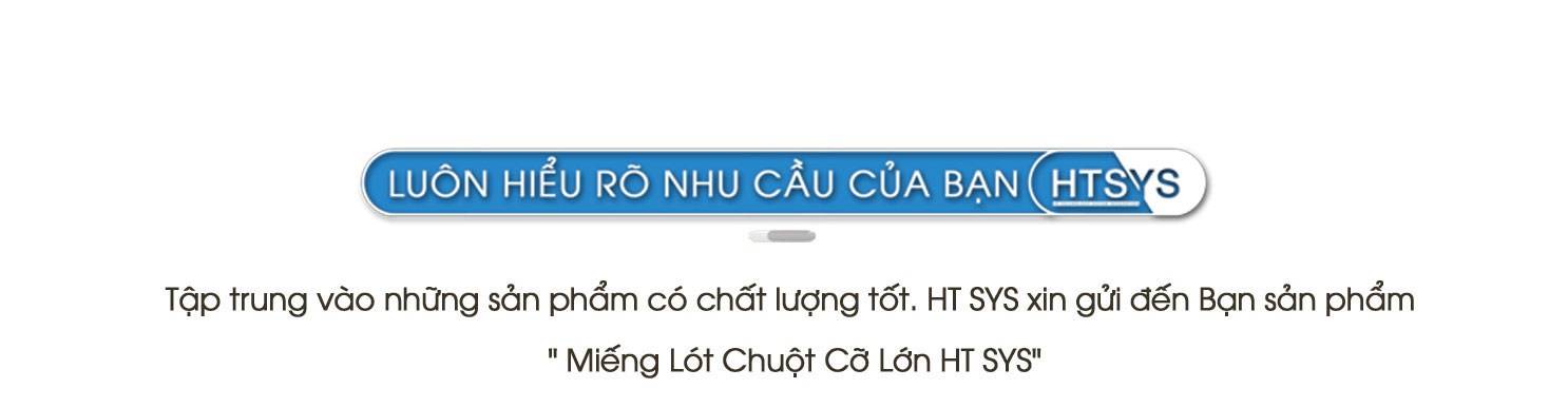 pad chuột cỡ lớn, large mouse pad, lót chuột ht sys