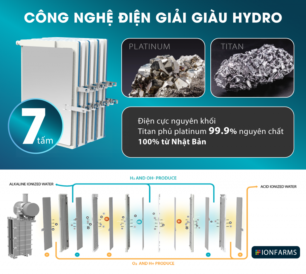 Buồng điện phân của máy điện giải IonFarms Alpha - 1700