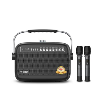 (Hàng chính hãng) Loa Karaoke Xách Tay Bluetooth W-king K9